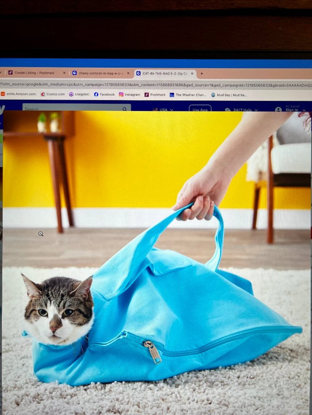 Cat-in-the-bag E-Z-Zip Cat Carrier Bag, Red, Large